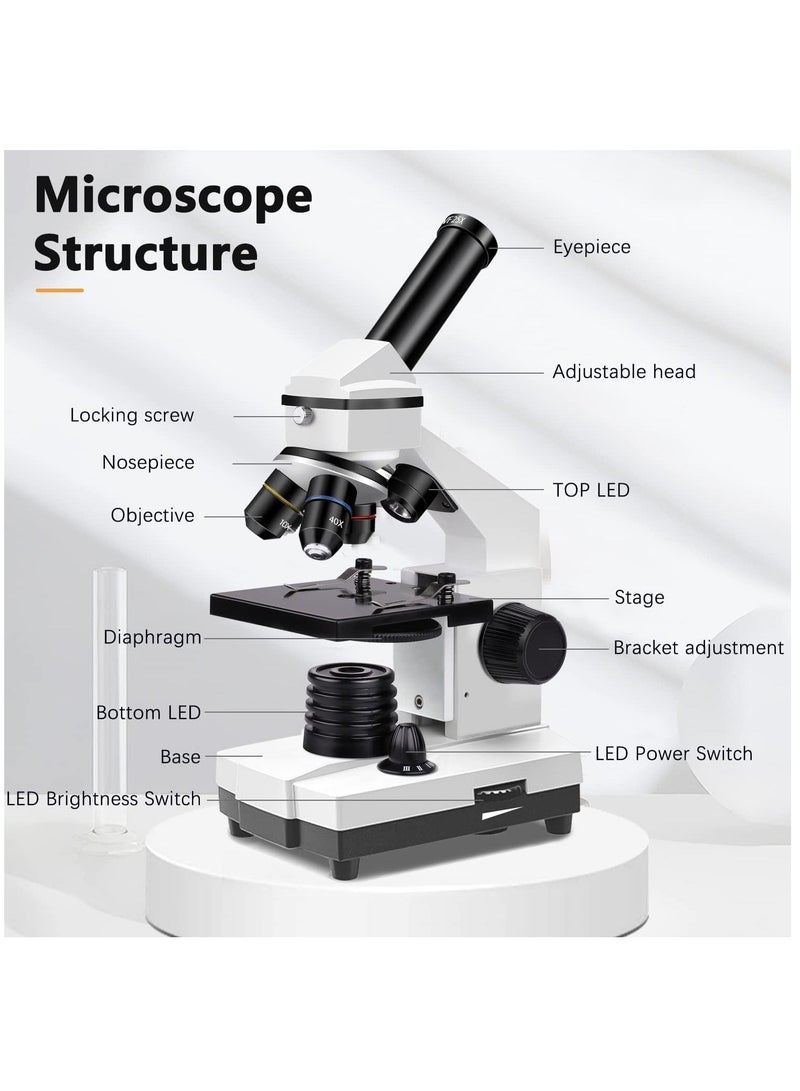 100X-2000X Microscopes for Kids Students Adults, Powerful Biological Microscopes for School Laboratory Home Education,with Microscope Slides Set, Phone Adapter  - Image 4