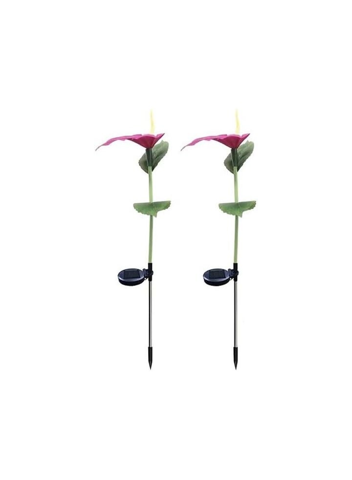 BLOOMING TIME Waterproof Outdoor Solar Lights, Auto On/Off, Decorative Solar Stake Lights for Yard Patio Pathway Landscape(2‑Pack) - Image 1