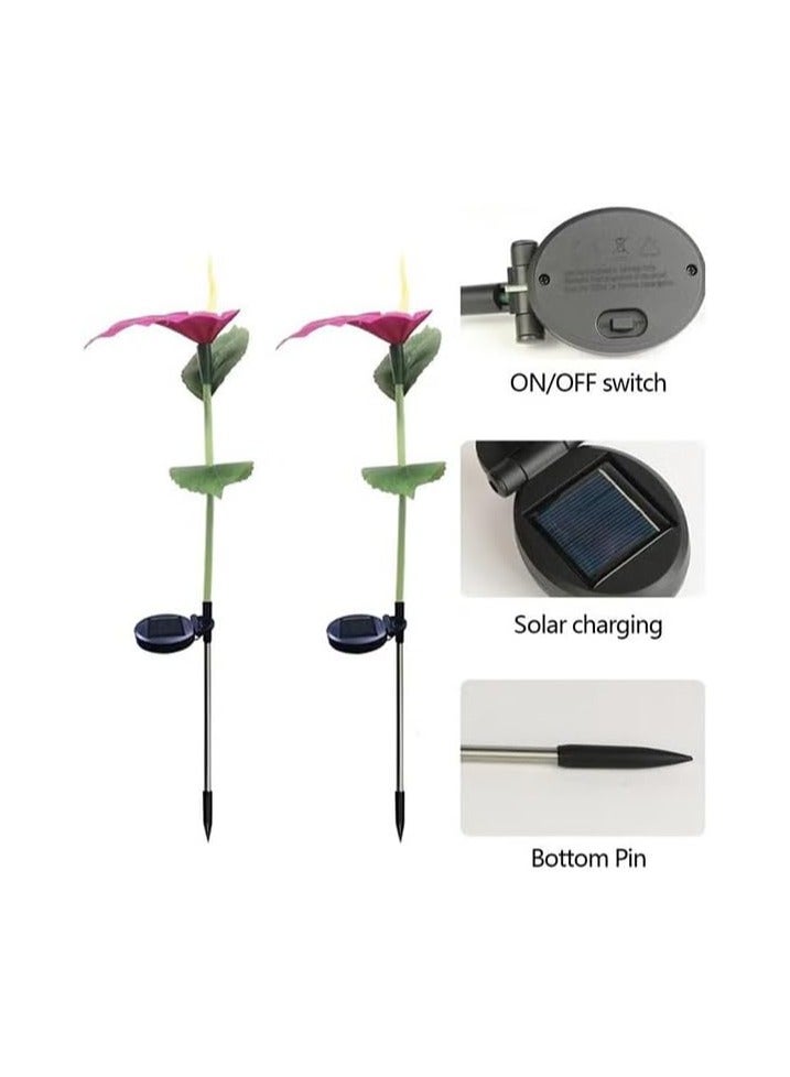 BLOOMING TIME Waterproof Outdoor Solar Lights, Auto On/Off, Decorative Solar Stake Lights for Yard Patio Pathway Landscape(2‑Pack) - Image 2