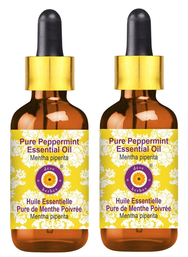 ديف هيربس زيت النعناع العطري من ديف هيربس (Mentha piperita) مع قطارة زجاجية، نقي | غير لزج | غير دهني | خفيف الوزن | للرجال والنساء | لجميع أنواع البشرة | مقطر بالبخار، 15 مل × 2 - Image 1