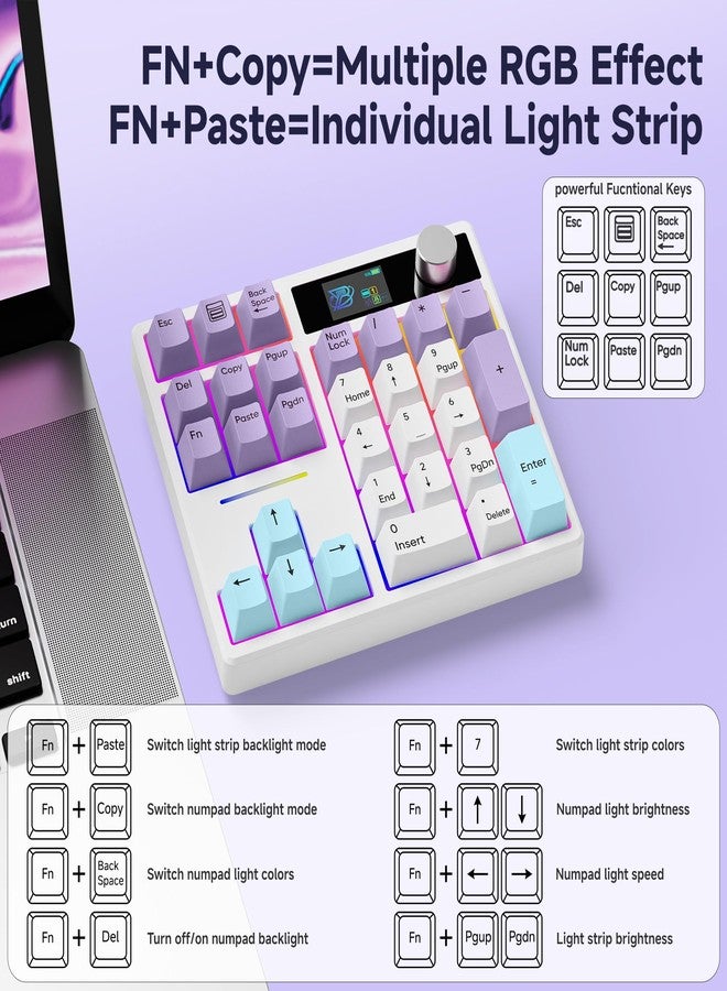 بوي لوحة أرقام ميكانيكية BOYI TD31Pro للوحات، بلوتوث 5.0/2.4 جيجا/تايب-سي، لوحة مفاتيح رقمية لاسلكية RGB قابلة للتبديل السريع مع شاشة ومقبض، مفاتيح PBT قابلة للبرمجة، - Image 3