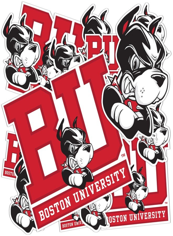 Desert Cactus Boston University Sticker Terriers BU Sticker Vinyl Decals Laptop Water Bottle Car Scrapbook Sheet T1 (Type 1-1) - Image 1