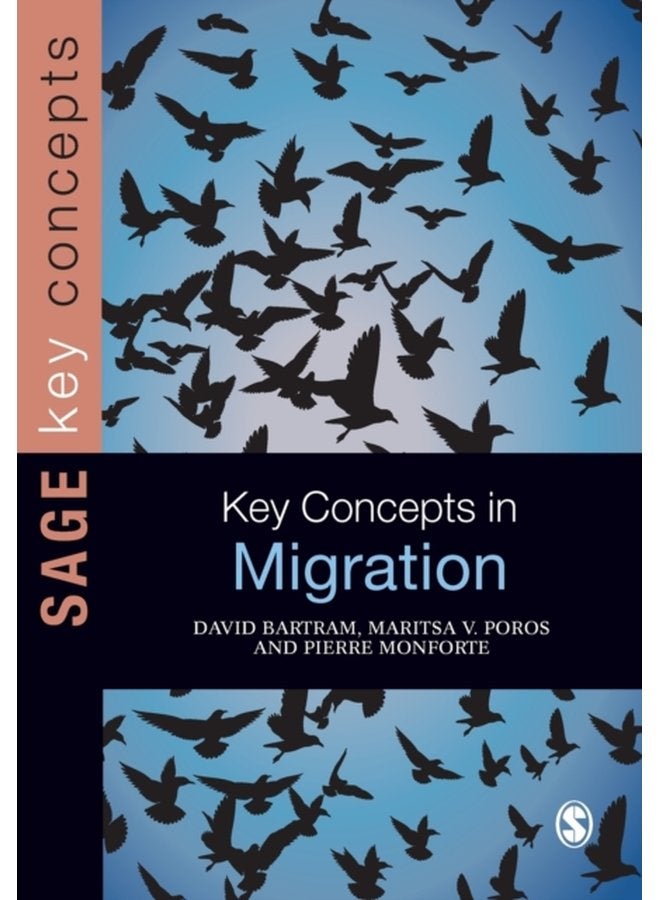Key Concepts in Migration - Paperback