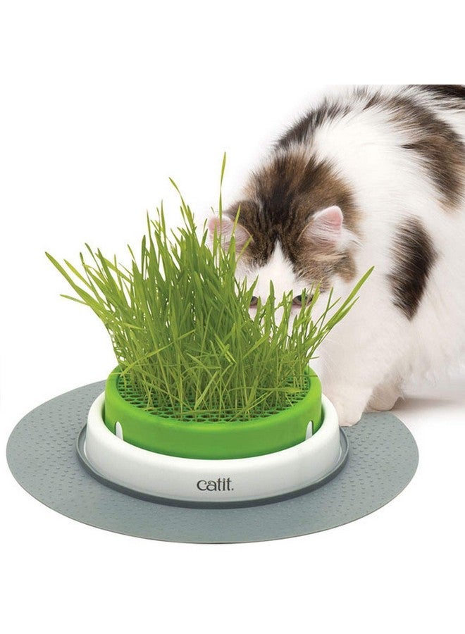 كاتيت وعاء زراعة العشب للقطط كاتيت سينسز ٢.٠، ألعاب تفاعلية للقطط - Image 1