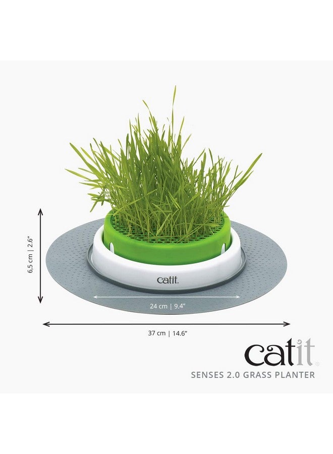كاتيت وعاء زراعة العشب للقطط كاتيت سينسز ٢.٠، ألعاب تفاعلية للقطط - Image 2