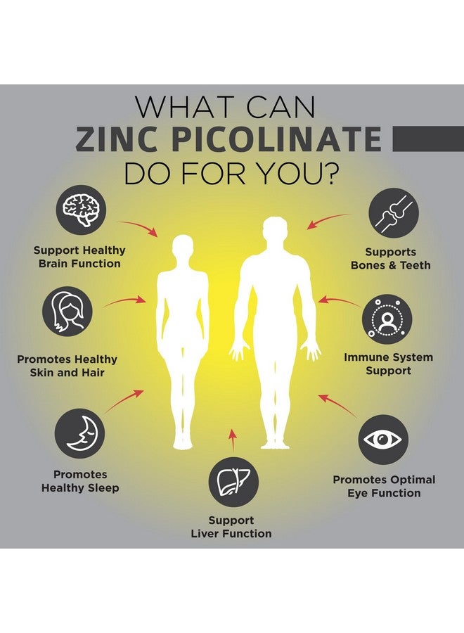 OmniBiotics Zinc Picolinate 30mg Supplement for Men & Women - Natural Vitamin with Superior Absorption for Immune System Support, Healthy Skin, Energy Metabolism, and Overall Wellness - 180 Vegan Capsules - Image 3