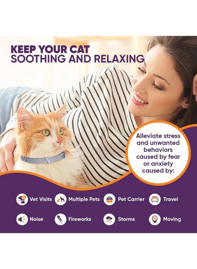 Klioak Calming Collars for Cats 6 Pack Grey & White Pheromone Cat Anxiety Collar Natural Stress Relief for Scratching, Marking & Loud Noises Adjustable Calming Collar for Kittens & Cats - Image 2