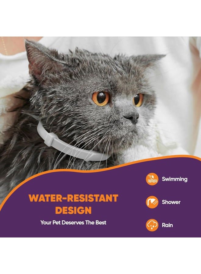 Klioak Calming Collars for Cats 6 Pack Grey & White Pheromone Cat Anxiety Collar Natural Stress Relief for Scratching, Marking & Loud Noises Adjustable Calming Collar for Kittens & Cats - Image 3