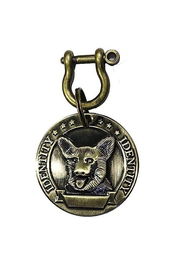 طوق ذهبي عتيق متين على شكل دائري للحيوانات الأليفة، علامة نحاسية مستوردة، علامة هوية شخصية للحيوانات الأليفة، مثالية للجراء والكلاب - Image 1