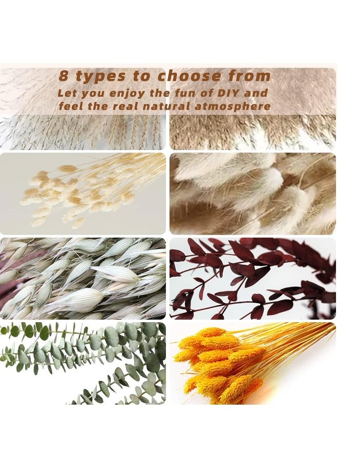 Generic Natural Dried Pampas Gr Boho Decor Fluffy White Pompous Gr Large Reed Bunny Tail Wheat Stalk Decorative Plumes Italian Ruscus Solidago Goldenrod Flower Bouquet  - Image 5