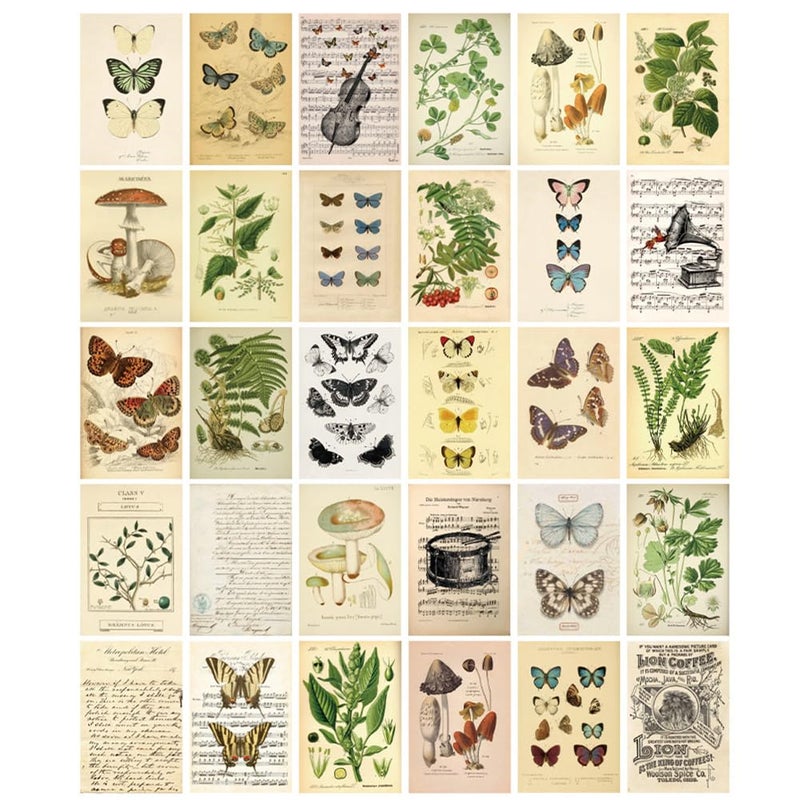 HOSTEESSCHOICE Vintage Collection Postcard Set Retro Style 30 PCS 4x6 in Botanical Butterfly Flower Mushroom Nature Postcards - Image 1