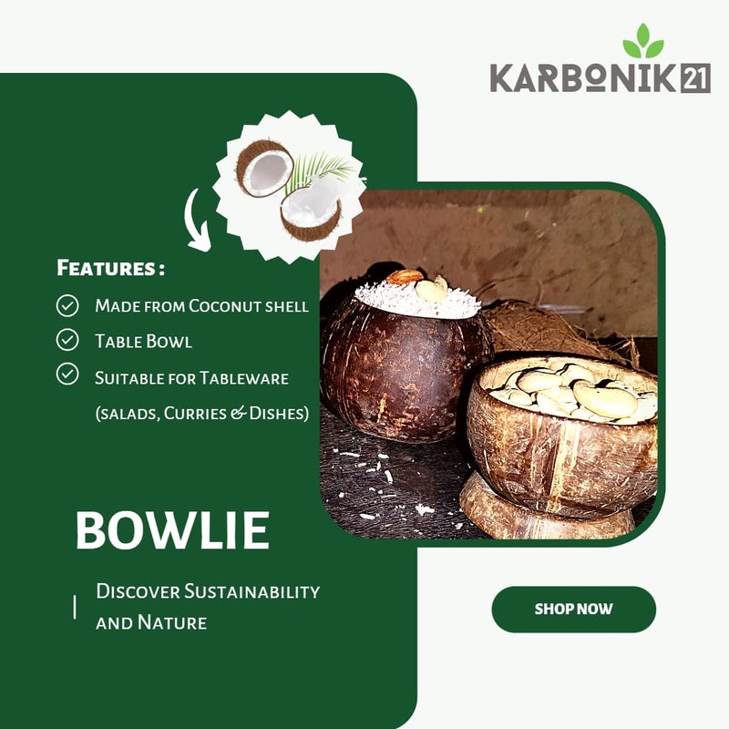 KARBONIK21 Bowlie (Set of 2) | Coconut Shell Bowls | Eco-Friendly Bowl | 1 Bowl (Natural Large) - Image 3