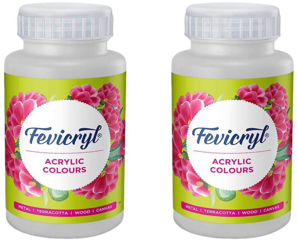 Fevicryl Acrylic Colour, Art and Craft Paint, DIY Paint, Rich Pigment, Non-Craking Paint for Canvas, Wood, Leather, Earthenware, Metal | Ideal for Artists | White, 500ml (Pack of 2)