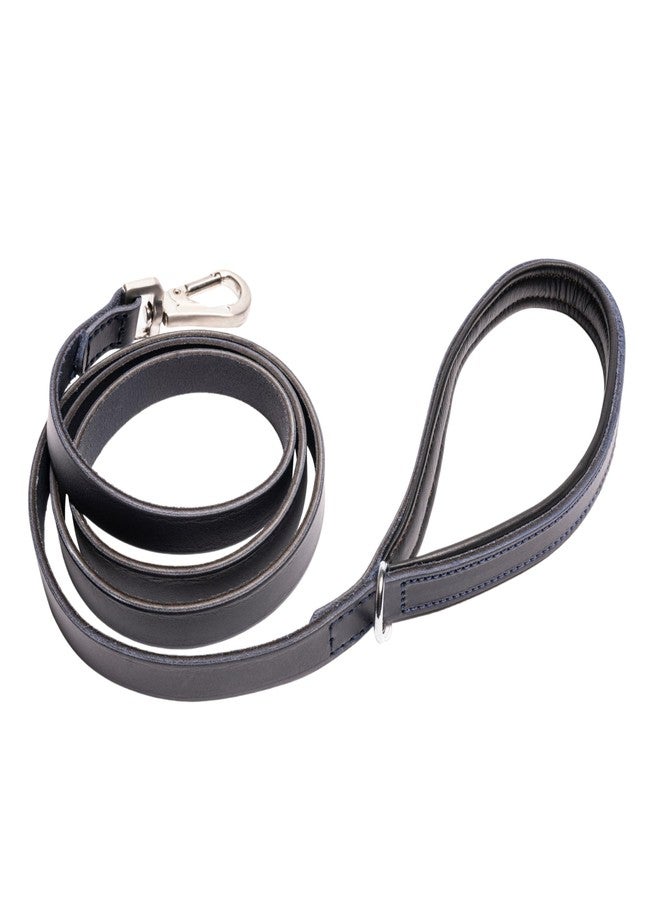 Filbert Genuine Oiled Leather Dog Leash, Leather Leash for Small, Medium, Large Dogs Training, Soft and Comfortable, Durable, Heavy Duty, Navy - Image 1