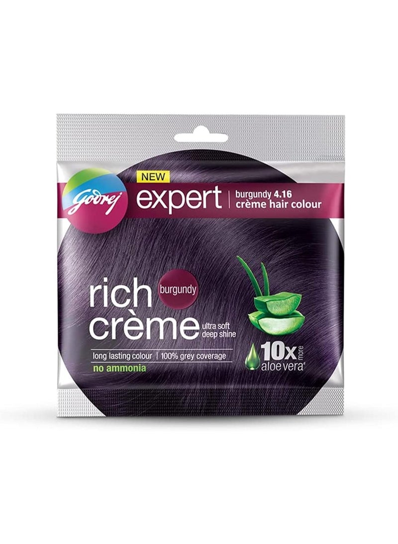 garnier Expert Rich Cream Kit Burgundy 20ml - Image 1
