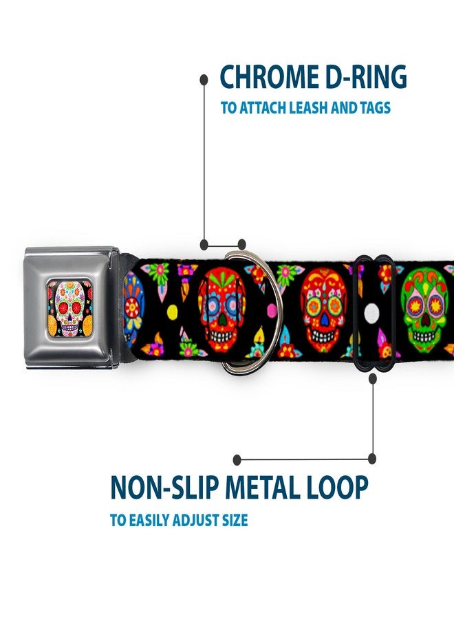 Buckle Down Buckle-Down Dog Collar Seatbelt Buckle Colorful Calaveras Black Multi Color 15 to 26 Inches 1.0 Inch Wide (DC-WTY004-L) - Image 5