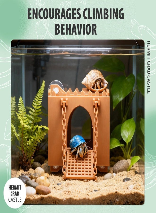 BrightRow Hermit Crab Climbing Wall Foraging Cave Hermit Crab Accessories Climbing Toy Viewing Moist Hideaway Tank Enrichment Decor for Crabs Parrots Lizards Chameleon Reptiles - Image 4