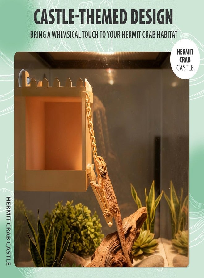 BrightRow Hermit Crab Climbing Wall Foraging Cave Hermit Crab Accessories Climbing Toy Viewing Moist Hideaway Tank Enrichment Decor for Crabs Parrots Lizards Chameleon Reptiles - Image 5