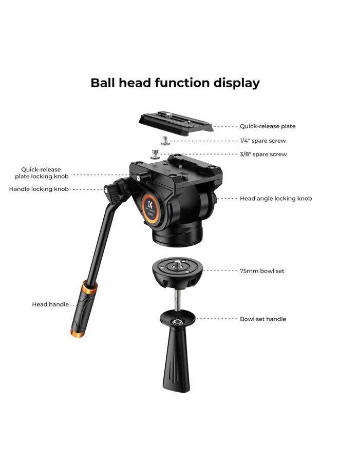 K&F Concept 72-inch Professional Video Tripod, Heavy Duty Aluminum Tube Tripod with Fluid Head Max Loading Capacity 8KG/17.6LBS for DSLR Camcorders Camera VA18+ VH081  - Image 4