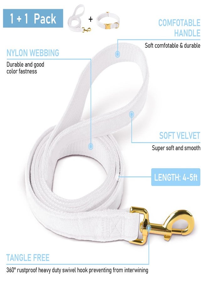 GAMUDA Velvet Dog Collar and Leash, Super Soft and Smooth, Heavy Duty Gold Buckle, Comfortable and Easy to Clean, Adjustable Collar for Dog (XS, White) - Image 3