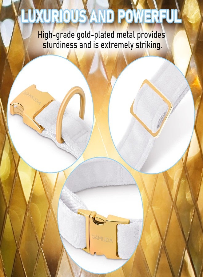 GAMUDA Velvet Dog Collar and Leash, Super Soft and Smooth, Heavy Duty Gold Buckle, Comfortable and Easy to Clean, Adjustable Collar for Dog (XS, White) - Image 5