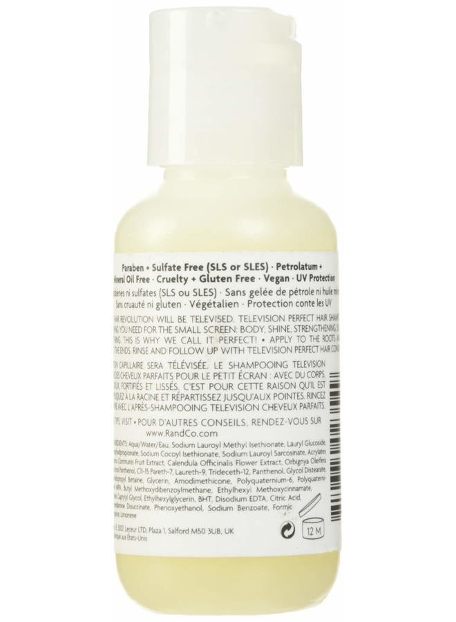 R+Co Television Perfect Hair Shampoo | Body + Shine + Smoothing for All Hair Types | Vegan + Cruelty-Free | 2.0 Oz - Image 2