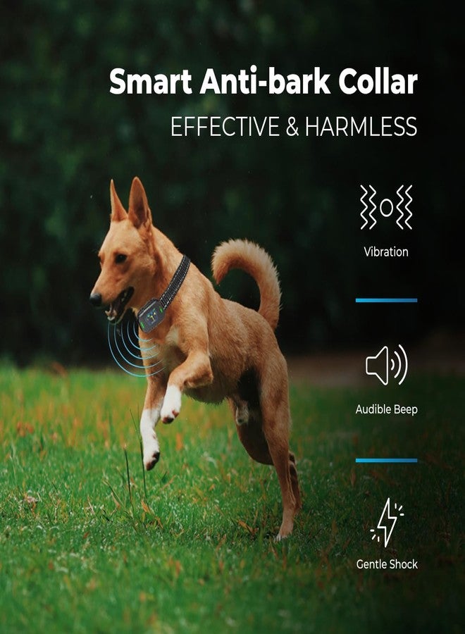 AutoSky Pets Smart Anti-Barking Collar - Training Collar with 5 Adjustable Sensitivity Beep Vibration Shock, Bark Collar for Large Medium Small Dogs (Black) - Image 2