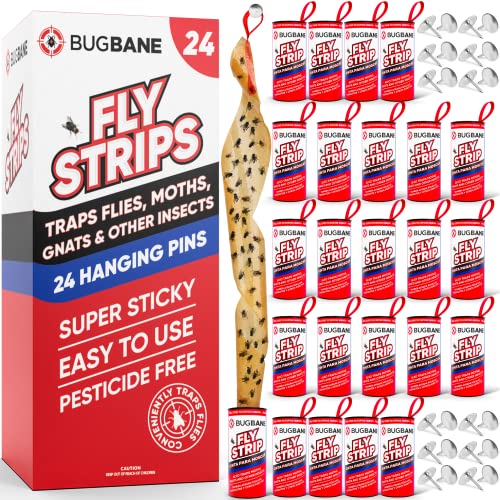 BugBane Fly Strips Indoor Sticky Hanging 24pk with Pins. Non Toxic Outdoor Fly Trap Indoor for Home. Flies Tape Paper Trap Ribbon Roll for House Gnat Fruit and Housefly. Bug Catchers for Inside Home Flypaper - Image 1