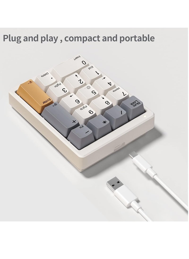 Generic - magicforce Number Pad, Mechanical Numpad Wired USB Standard 17 Keys Numeric Keypad with PBT Keycaps White Backlit Keypad for Laptop PC TKL Keyboards (Brown Switch) - Image 1