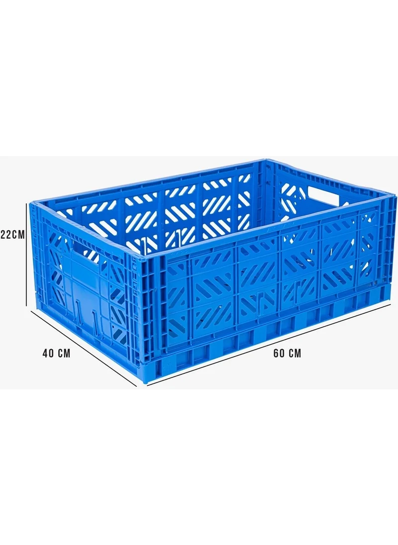 Ayyıldız Aykasa 604022 Maxibox Blue Foldable Case