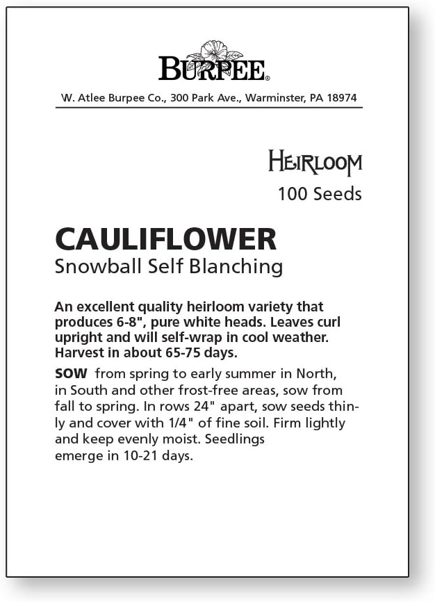 Burpee Snowball SelfBlanching Cauliflower Seeds 100 seeds - Image 3