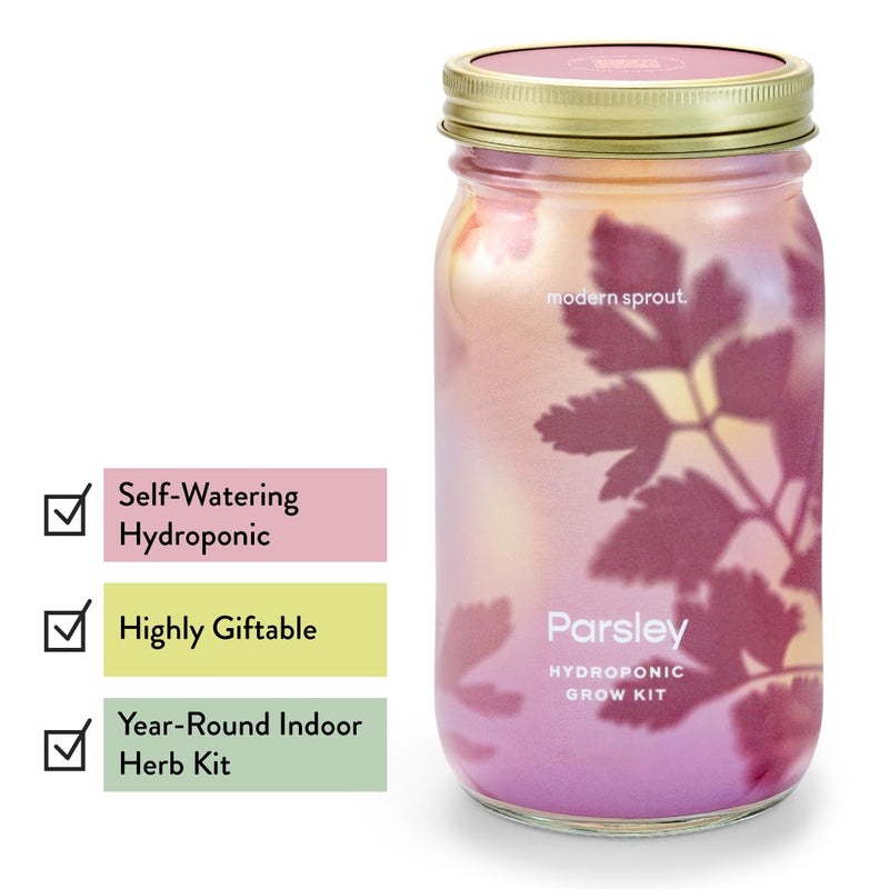 Modern Sprout Modern Sprout New & Improved Mason Jar Grow Set, Indoor Herb Garden, Seed Starter Set, Organic Seeds, Hydroponic Growing (Parsley)  - Image 3