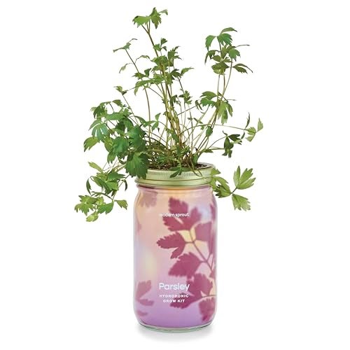 Modern Sprout Modern Sprout New & Improved Mason Jar Grow Set, Indoor Herb Garden, Seed Starter Set, Organic Seeds, Hydroponic Growing (Parsley)  - Image 1