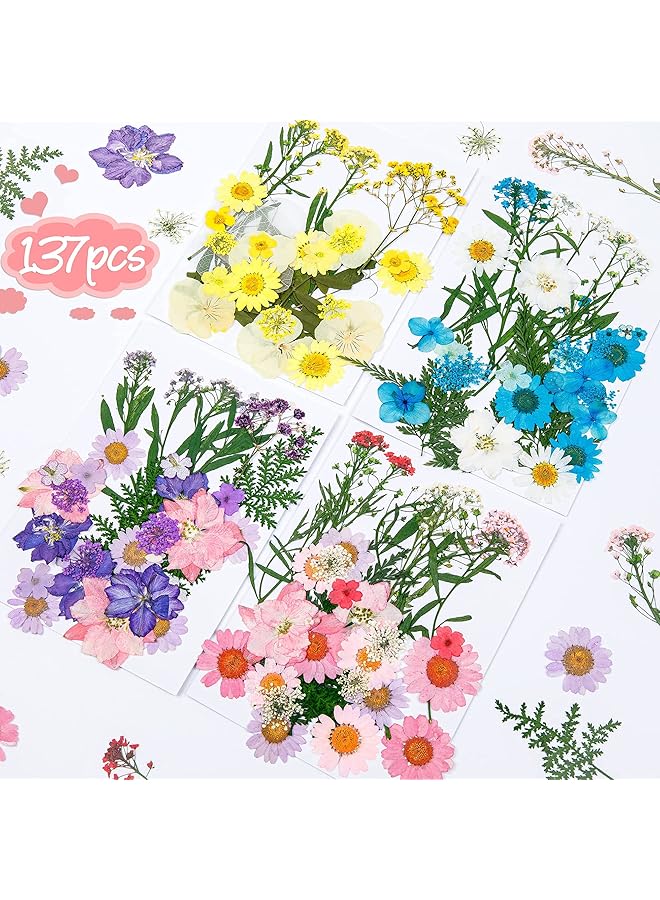 The Bros Real Dried Pressed Flowers for Resin: 137 Pcs Colorful Resin Dried Flowers Dry Leaves Kit, Pressed Dried Flower for Resin Molds, Crafts - Image 1
