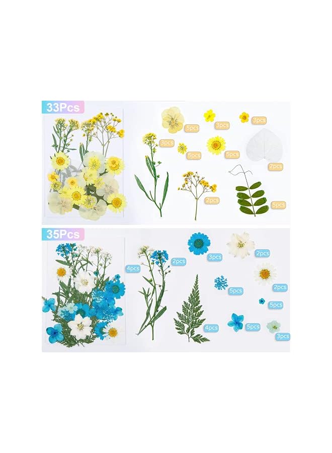 The Bros Real Dried Pressed Flowers for Resin: 137 Pcs Colorful Resin Dried Flowers Dry Leaves Kit, Pressed Dried Flower for Resin Molds, Crafts - Image 2