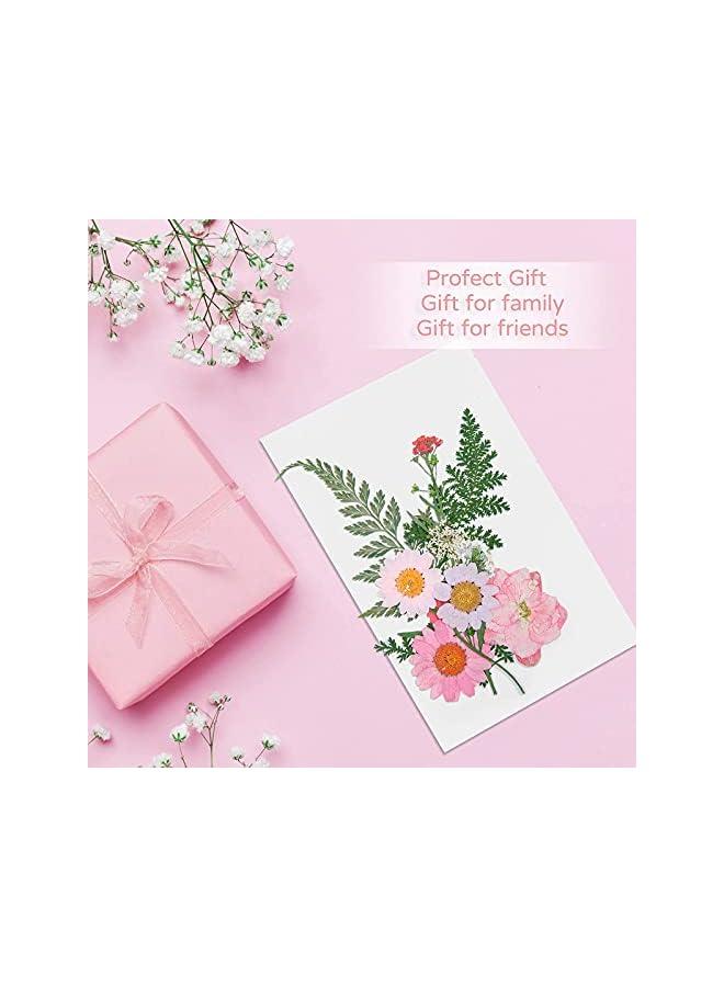 The Bros Real Dried Pressed Flowers for Resin: 137 Pcs Colorful Resin Dried Flowers Dry Leaves Kit, Pressed Dried Flower for Resin Molds, Crafts - Image 5