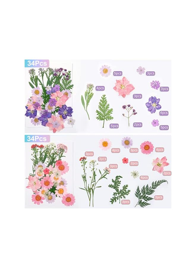 The Bros Real Dried Pressed Flowers for Resin: 137 Pcs Colorful Resin Dried Flowers Dry Leaves Kit, Pressed Dried Flower for Resin Molds, Crafts - Image 3
