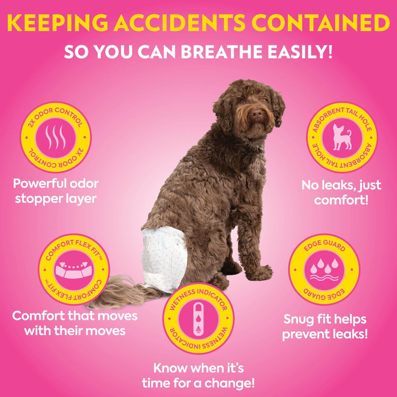 OUT! Petcare Disposable Dog Diapers for Female Dogs, Dog Heat Diapers, Female Dog Period Pads, Female Doggy Diaper for Peeing, Pet Diapers for Small Pets,13”-18” Waist, XS/Small, 16 Count - Image 2
