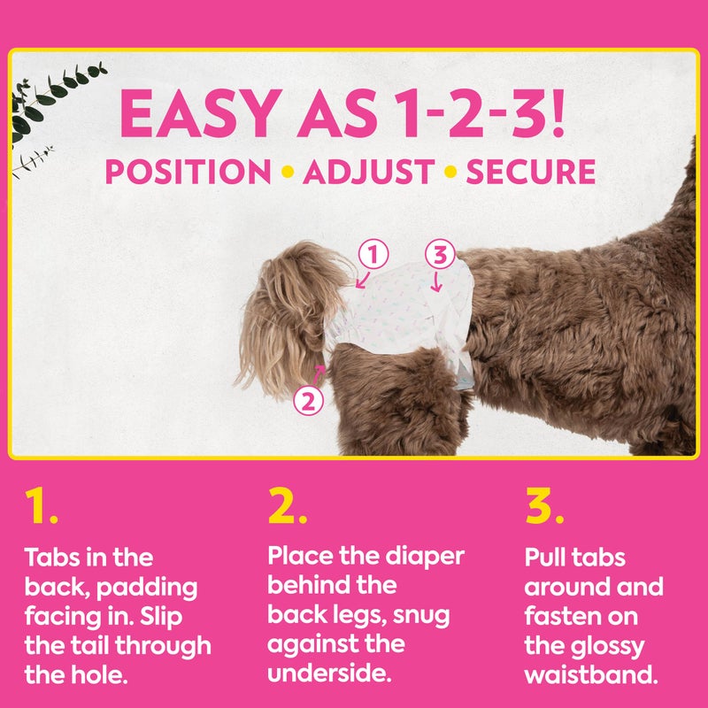 OUT! Petcare Disposable Dog Diapers for Female Dogs, Dog Heat Diapers, Female Dog Period Pads, Female Doggy Diaper for Peeing, Pet Diapers for Small Pets,13”-18” Waist, XS/Small, 16 Count - Image 3
