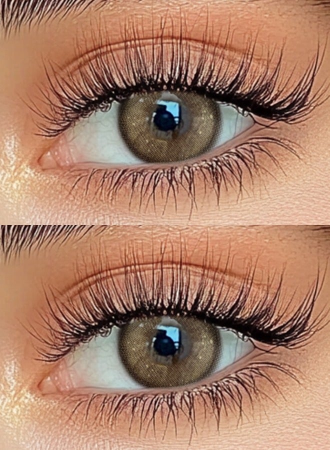 Freshlady Colored Contact Lenses Arctic Ice Brown 14.20mm Yearly Disposable for Daily Wear - Image 2