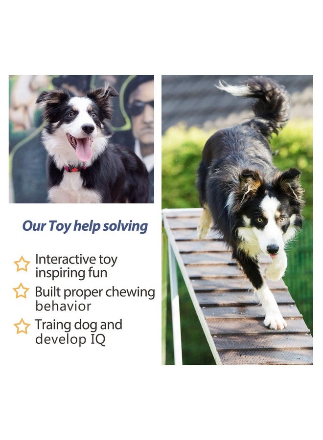 fida Dog Rope Toys 4 Pack, Puppy Teething Sturdy Cotton Chew Tug Ropes Indoor/Outdoor, Exercise Interactive Tug O'War Toys Set For Boredom SmallMeidum Dogs - Image 5