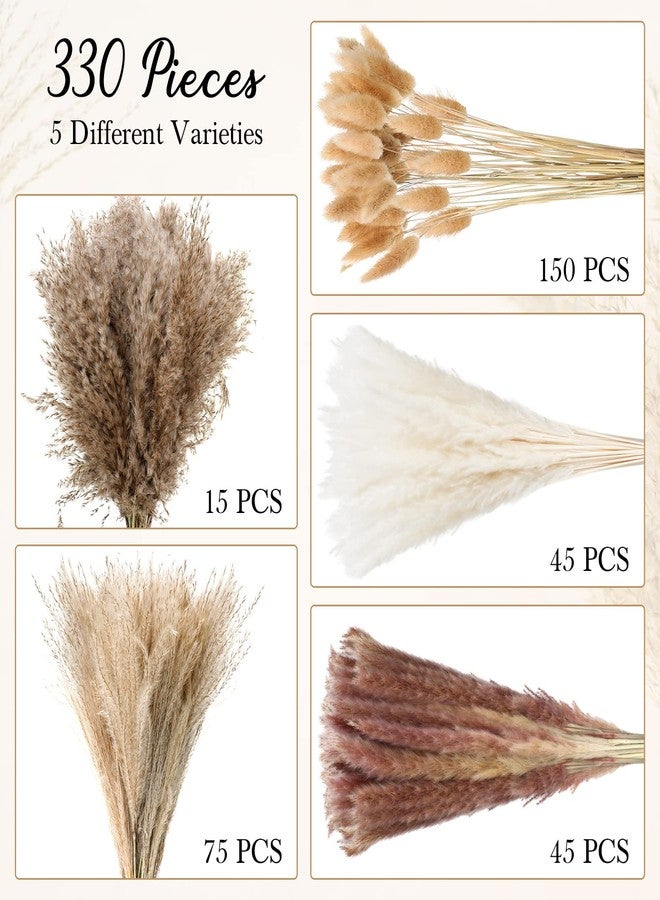 تريلا ٣٣٠ قطعة من عشب البامباس المجفف للزينة، ١٧ بوصة من نباتات الزهور المجففة بكميات كبيرة، عشب البامباس الأبيض والبني، باقة من ذيول الأرانب لتزيين حفلات الزفاف، ديكور طاولة المنزل البوهيمي، ديكور حفلات المزرعة الريفية - Image 4