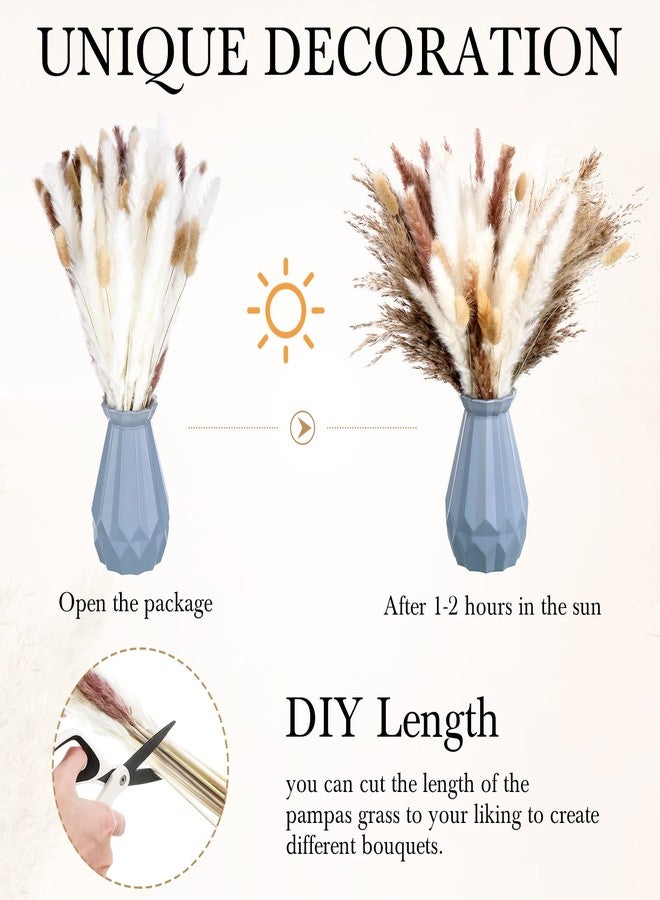 تريلا ٣٣٠ قطعة من عشب البامباس المجفف للزينة، ١٧ بوصة من نباتات الزهور المجففة بكميات كبيرة، عشب البامباس الأبيض والبني، باقة من ذيول الأرانب لتزيين حفلات الزفاف، ديكور طاولة المنزل البوهيمي، ديكور حفلات المزرعة الريفية - Image 3