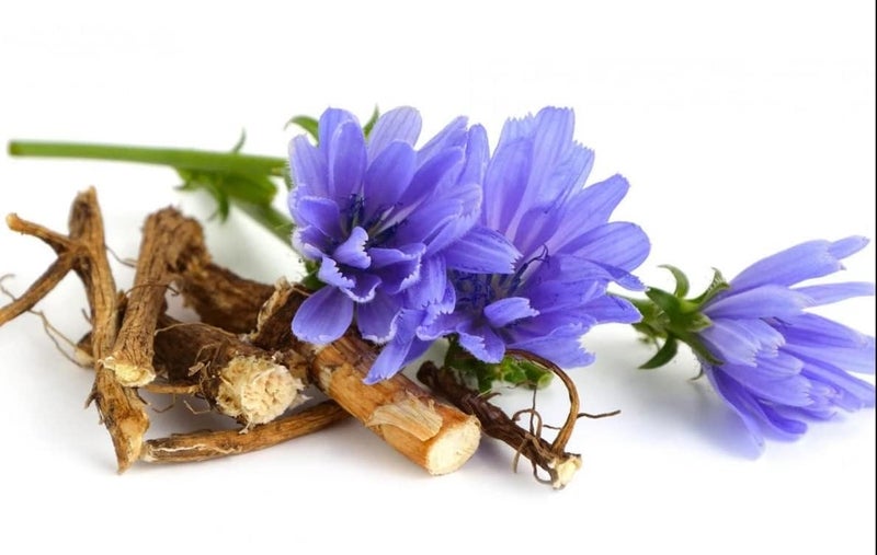 Instant Chicory Beverage with Blueberries & Cranberries - 100% Pure Organic Dried Chicory Root - Caffeine-Free & Acid Free - 100g - Image 2