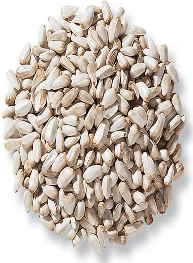 بذور القرطم أريا، بذور الكاردي، بذور الكوسوم، طعام جاف ونظيف للطيور لجميع مراحل الحياة، الببغاوات، المكاو، العصافير، الببغاوات الأسترالية، طيور الحب، الببغاء الرمادي الأفريقي، الكوكاتو، المكاو (450 غرام) - Image 2