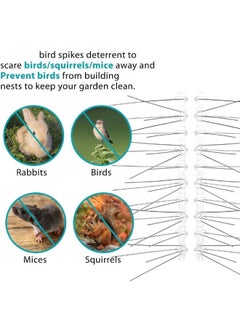 Bird Spikes, Bird Devices Outdoor of Stainless Steel for Fence Windowsill Roof, Bird Deterrent Spikes for Small Bird and Squirrels (50CM) - pzsku/Z7717737BBECC4F2E5157Z/45/_/1736480654/c2f92480-e3ef-46e7-908e-1a474531dab7