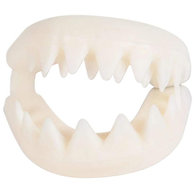 Rhode Island Novelty Great White Shark Teeth - Image 2