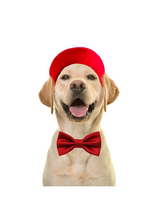 BURAQ Pets Dog Baseball Cap, Pet Sun Hats With Ear Holes, Sport Hat For Medium, Large, Doggies Adjustable Drawstring Puppies, Cats, Visor Hat… (Red, M) - Image 1