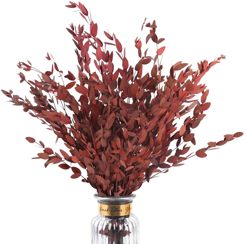 HIAGROW Real Red Eucalyptus Stems Decor 20PCS 16" Dried Willow Eucalyptus Plant Preserved Stems for Home Vase Filler Wedding Flowers Arrangement Decorations - Image 1