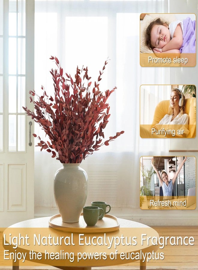 HIAGROW Real Red Eucalyptus Stems Decor 20PCS 16" Dried Willow Eucalyptus Plant Preserved Stems for Home Vase Filler Wedding Flowers Arrangement Decorations - Image 2